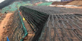 ng电子游戏·(中国集团)官方网站