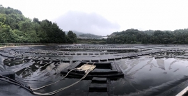 ng电子游戏·(中国集团)官方网站